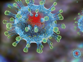 Сильный иммунитет – надежная защита от вирусов! 