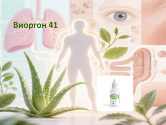 Виоргон 41